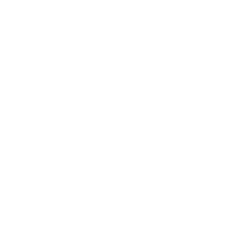 NextDIGI Logo weiss